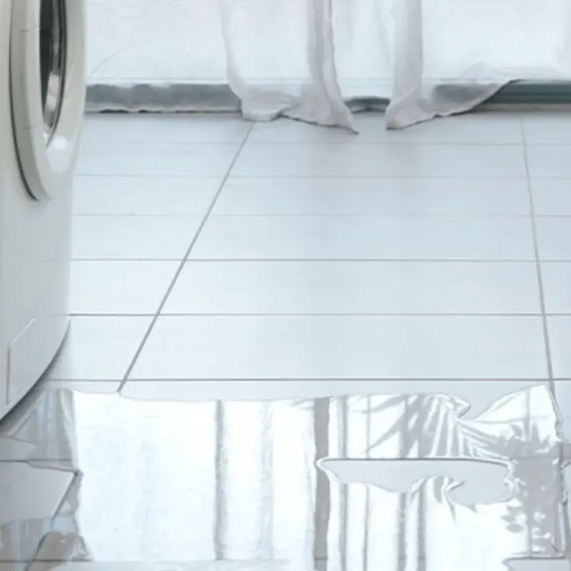 Appliance Leak Cleanup in Sealy, TX