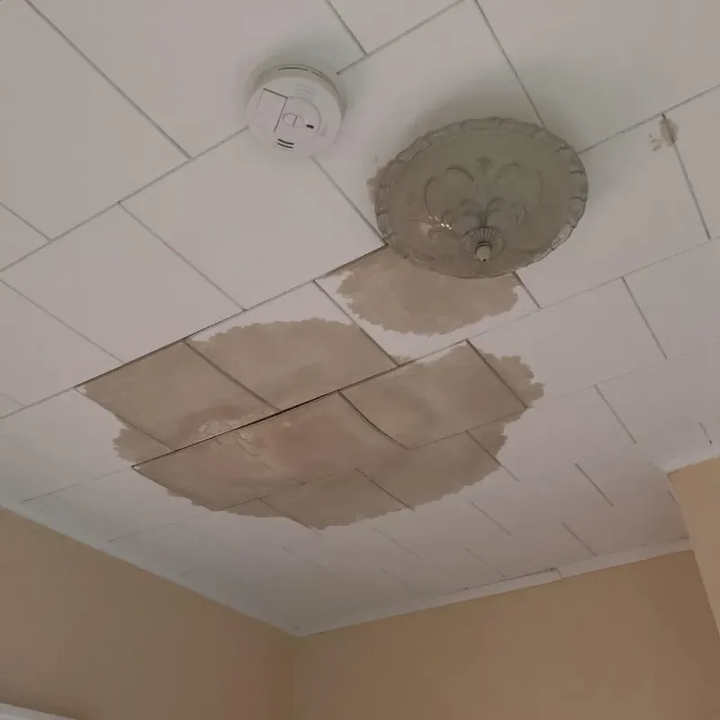 Ceiling Water Damage Repair in Sealy, TX